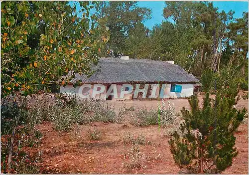 Cartes postales moderne Bourrine en Vendee