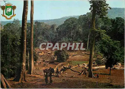 Cartes postales moderne Republique de Cote d'Ivoire Village typique de la foret