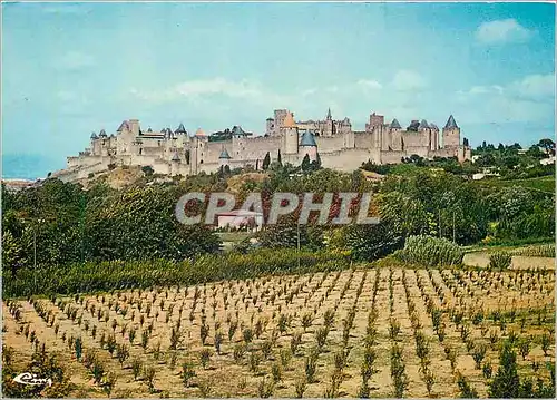 Cartes postales moderne Cite de Carcassonne Aude Vue generale des fronts ouest et sud