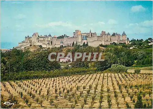 Moderne Karte Cite de Carcassonne Aude Vue generale des fronts ouest et sud