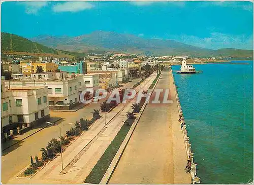 Cartes postales moderne Nador Avenue Mohamed Zerktouni