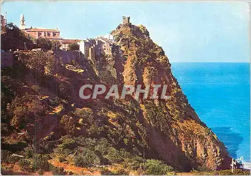 Cartes postales moderne La Corse Oasis de Beaute Nonza Corse