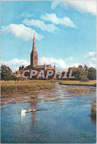 Cartes postales moderne Salisbury Cathedrale from the River Avon