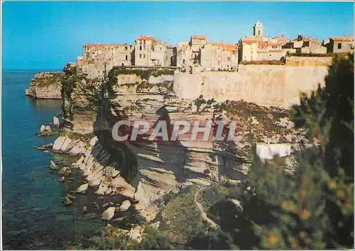 Cartes postales moderne Isola Bella Bonifacio La Haute Ville