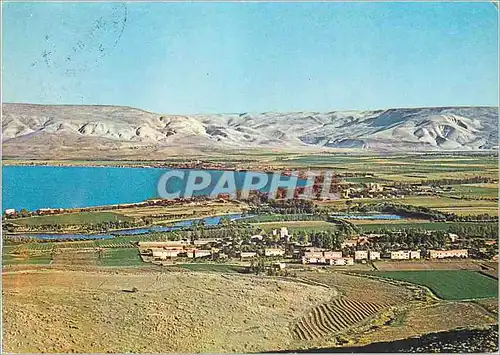 Cartes postales moderne The Jordan Valley Dagania