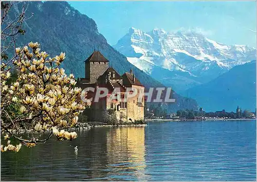 Moderne Karte Montreux Chillon Le Chateau de Chillon et les Dents du Midi