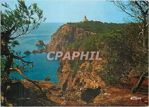 Cartes postales moderne Ile de Porquerolles Var Le Phare et son rocher