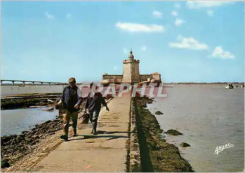 Cartes postales moderne Sur la Cote de Lumiere Bourcefranc Le Chapus Le Fort Louvois
