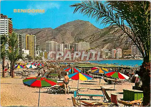 Cartes postales moderne Benidorm Espana