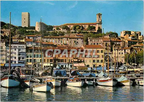 Cartes postales moderne Cannes Un coin du Port le Quai St Pierre et le Suquet Bateaux