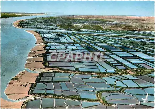 Cartes postales moderne Marennes Charente Maritime La Seudre et les Parcs a Huitres