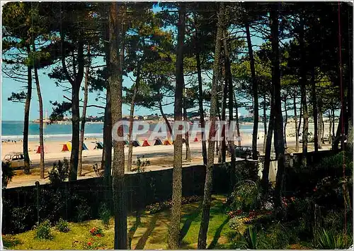 Cartes postales moderne Saint Georges de Didonne La Plage et la Pointe du Phare vues a travers les pins