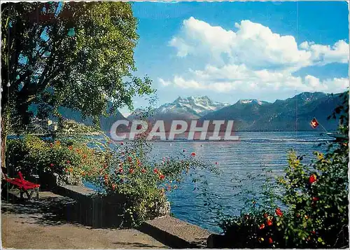 Cartes postales moderne Lac Leman et les Dents du Midi