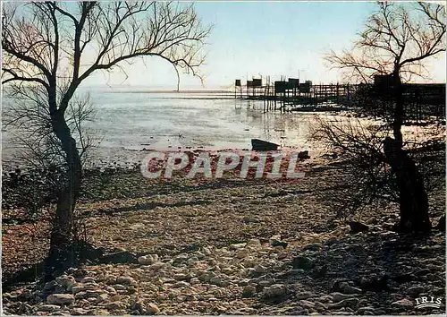 Cartes postales moderne La Cote de Beaute entre Meschers et Talmont