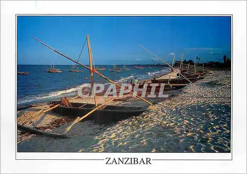 Cartes postales moderne Zanzibar East Coast Beach