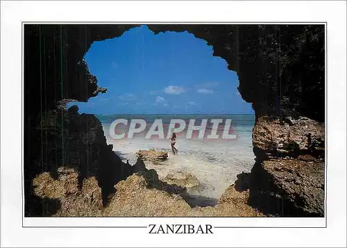 Cartes postales moderne Coral arch in Matemwe Zanzibar