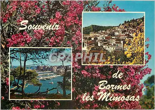 Moderne Karte Souvenir de Bormes les Mimosas