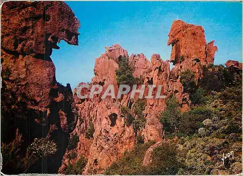 Cartes postales moderne La Corse oasis de Beaute Les Calanche Corse