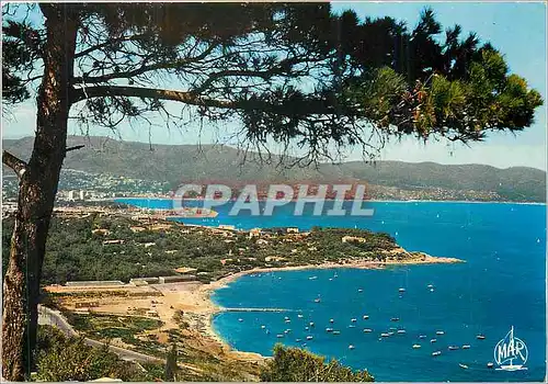 Cartes postales moderne La Cote d'Azur Environs du Lavandou Bormes les Mimosas La Faviere au fond Le Lavandou