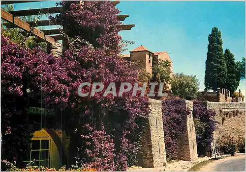 Cartes postales moderne La Cote d'Azur Bormes les Mimosas Var Un coin pittoresque