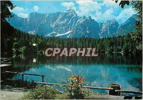 Cartes postales moderne Tarvisio Fusine Parco Naturale Regionale