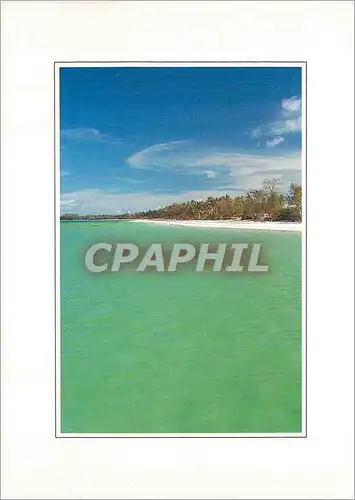 Cartes postales moderne Zanzibar Islands Beach of Kiwengwa