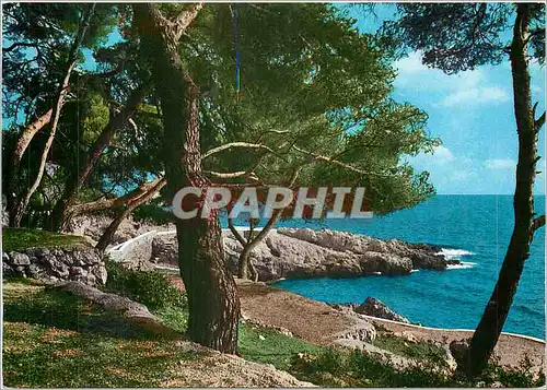 Moderne Karte Cote d'Azur Bord de mer et pinede
