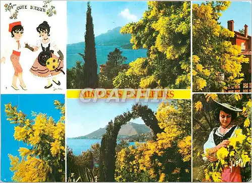 Cartes postales moderne La Cote d'Azur Alpes Maritimes