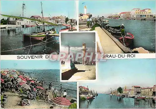 Cartes postales moderne Souvenir du Grau du Roi