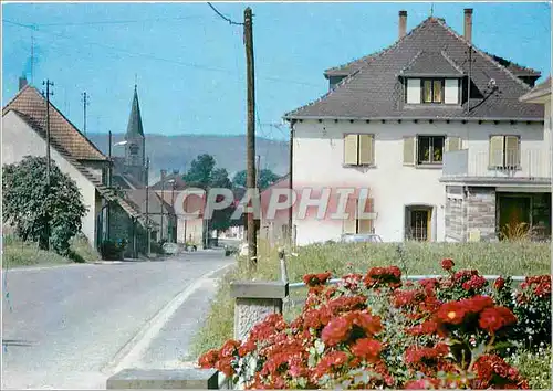 Cartes postales moderne Adamsviller Bas Rhin