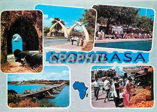 Cartes postales moderne Mombasa Cornes d'elephant