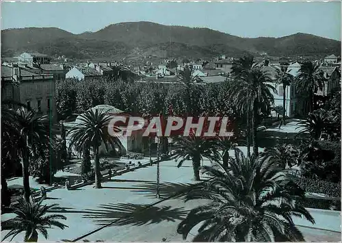 Cartes postales moderne Hyeres les Palmiers Avenue de Belgique