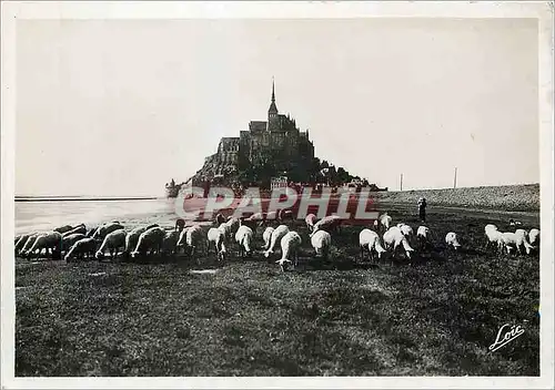 Moderne Karte Le Mont Saint Michel Moutons