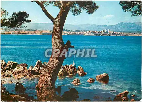 Moderne Karte La Cote d'Azur miracle de la nature Antibes Alpes Maritimes Vue Prise du Cap d'Antibes