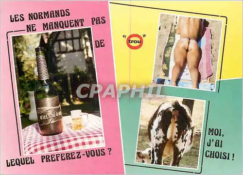 Cartes postales moderne Les Normands ne Manquent pas de Lequel Preferez vous Vache Clavados