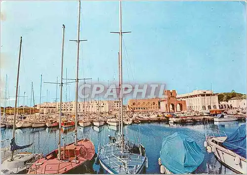 Cartes postales moderne Algerie Station Balenaire et le port de plaisance
