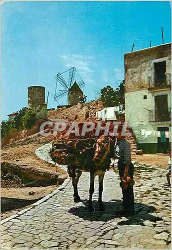 Cartes postales moderne Palma de Mallorca Moulin du Jonquet Ane Mule