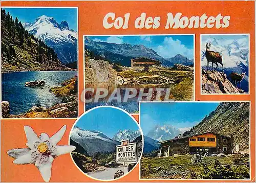 Cartes postales moderne Vallee de Chamonix Mont Blanc Argentiere Hte Savoie