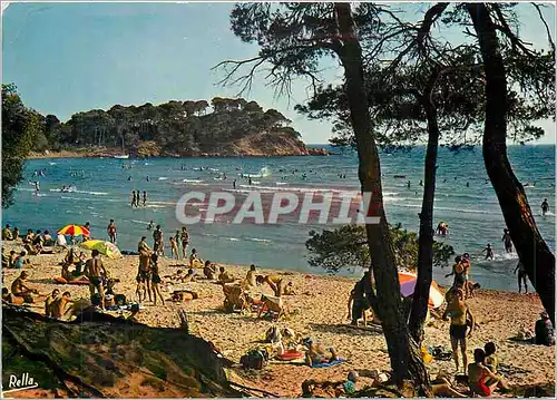 Cartes postales moderne La Cote d'Azur Varoise Bormes les Mimosas Var