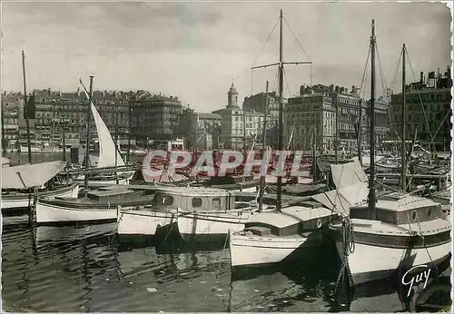 Cartes postales moderne Marseille B du R Le Vieux port vers le quai des Belges et l'Eglise St Ferreol Bateaux