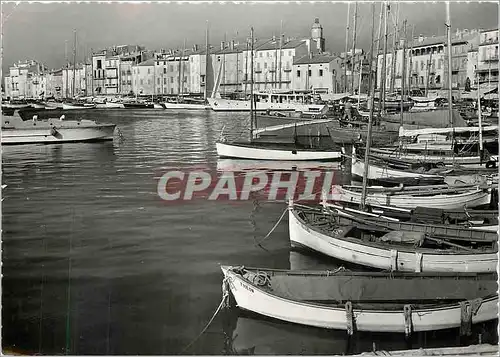 Cartes postales moderne La Cote des Maures Saint Tropez Le Port Bateaux