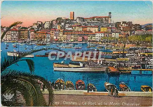 Cartes postales moderne Cannes Le Port et le Mont Chevalier Bateaux