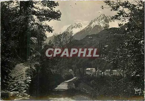 Cartes postales moderne Saint Sauveur les Bains Le Chemin de Solferino