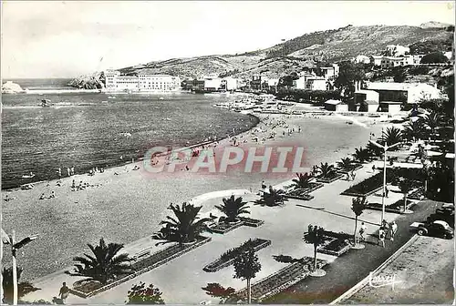 Cartes postales moderne La Cote Vermeille Banyuls sur Mer PO La Promenade dans le fond le laboratoire Arago