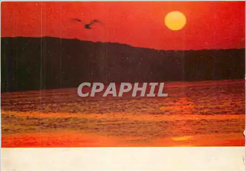 Cartes postales moderne Coucher de soleil