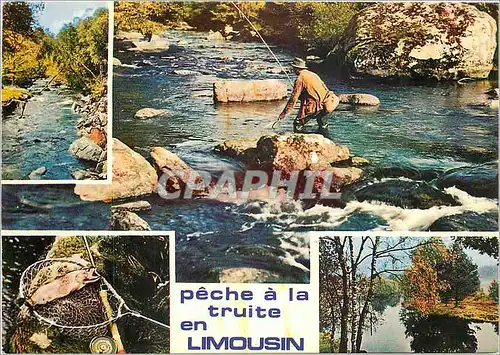 Cartes postales moderne Peche a La Truite en Limousin