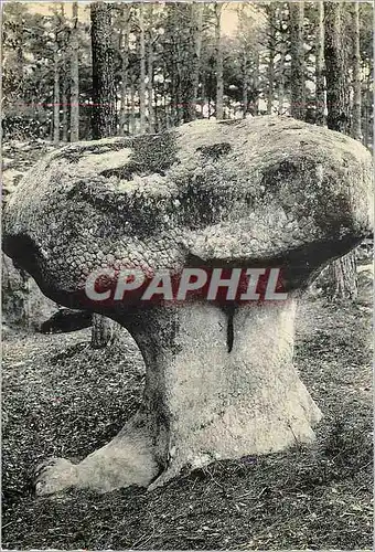 Cartes postales moderne Foret de Fontainebleau Le Champignon d'Apremont