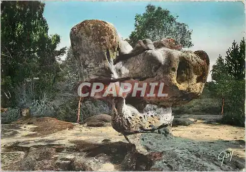 Cartes postales moderne Fontainebleau et ses Merveilles Le sphinx des druides a Franchard