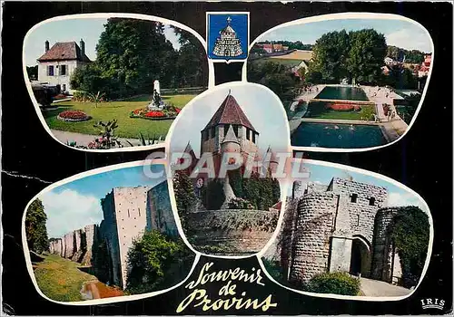 Cartes postales moderne Souvenir de Provins