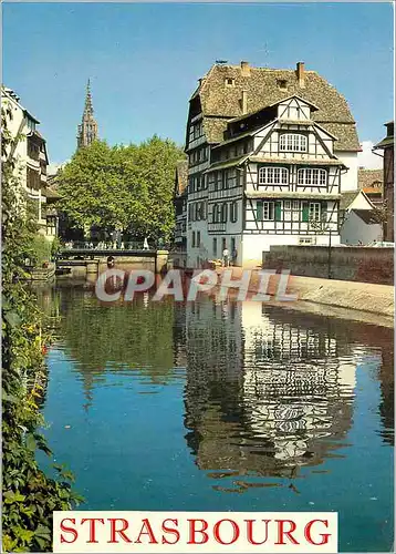 Cartes postales moderne Strasbourg Le Vieux Quartier du Bain aux Plantes et sa fleche de la Cathedrale